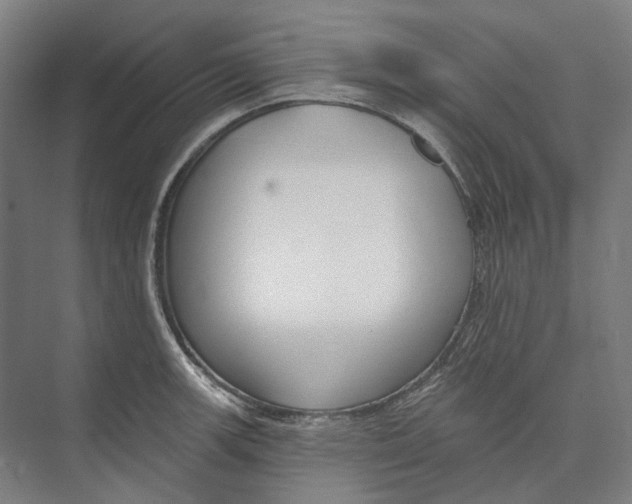 X0000073991139200609181735