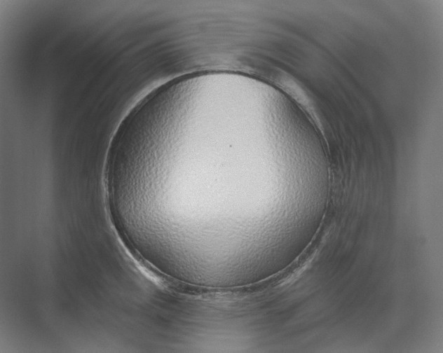 X0000073991141200609181735