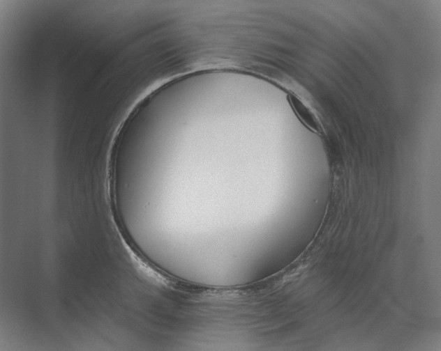 X0000073991143200609181736