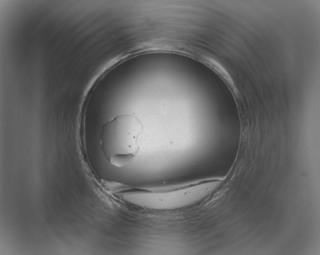 X0000073991146200609181736