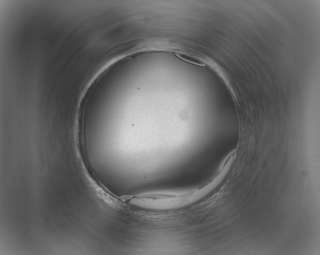 X0000073991147200609181736