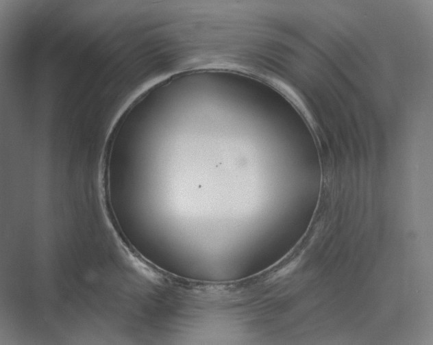 X0000073991149200609181736