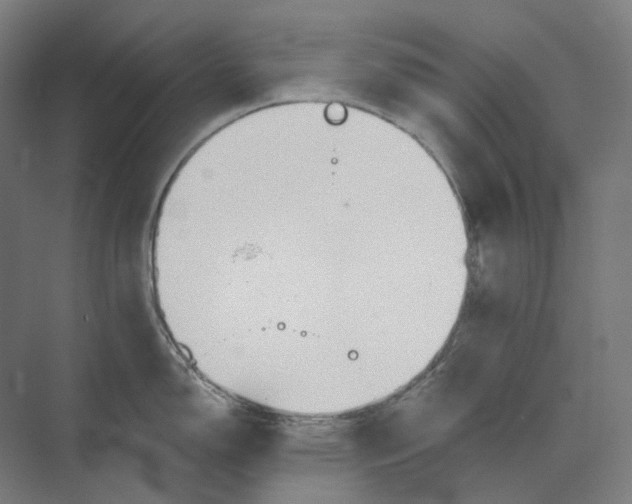 X0000073991150200609181736