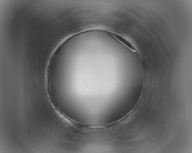 X0000073991151200609181736