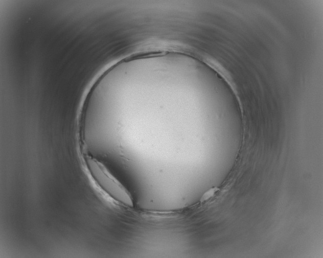 X0000073991152200609181736