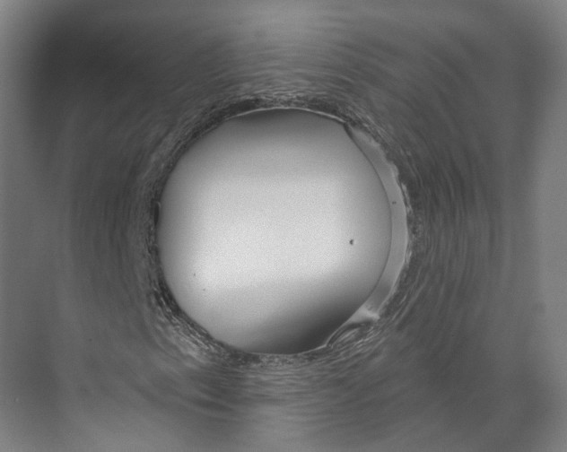 X0000073991153200609181735