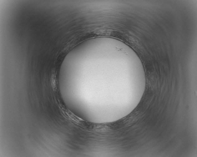 X0000073991154200609181735