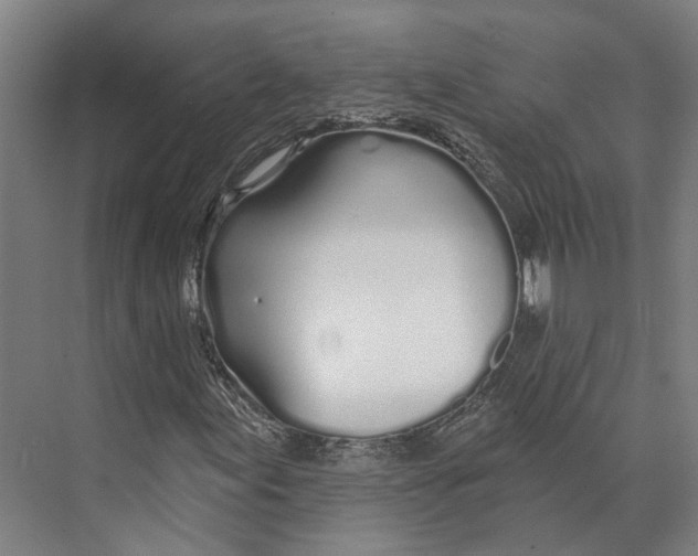 X0000073991155200609181735