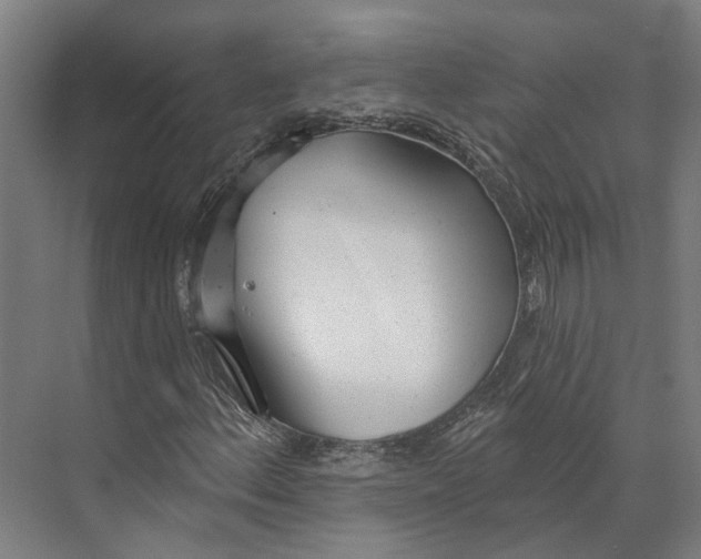 X0000073991156200609181735