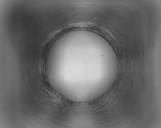 X0000073991158200609181735