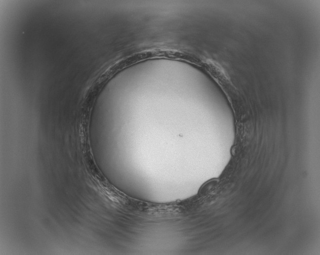 X0000073991159200609181735