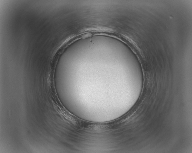 X0000073991163200609181735