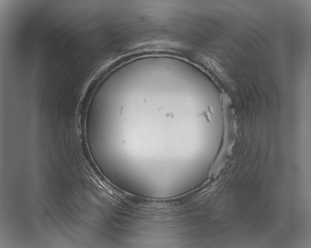 X0000073991164200609181735