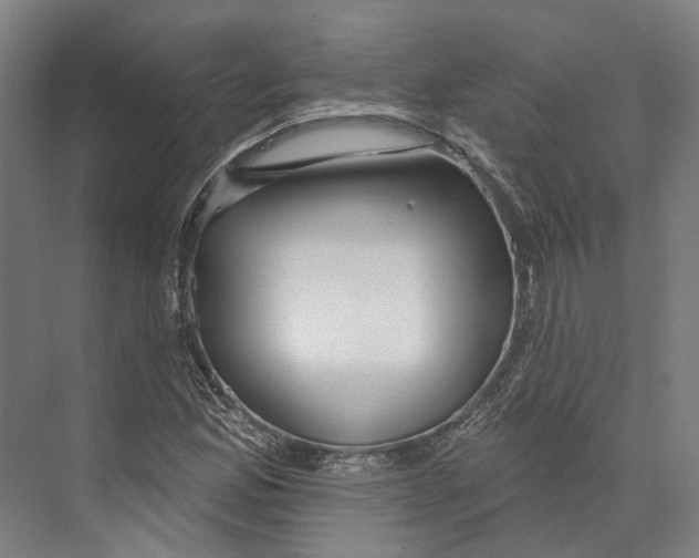 X0000073991165200609181735