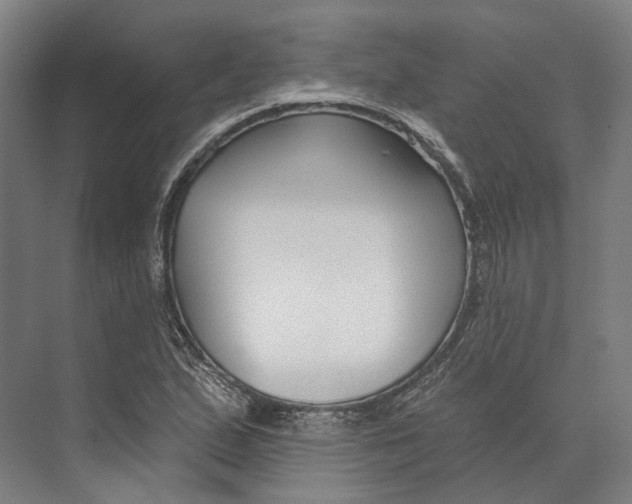 X0000073991167200609181735