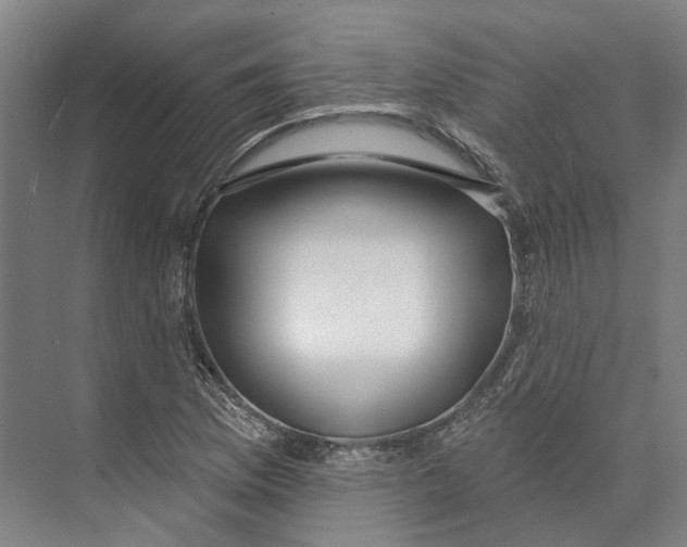 X0000073991169200609181735