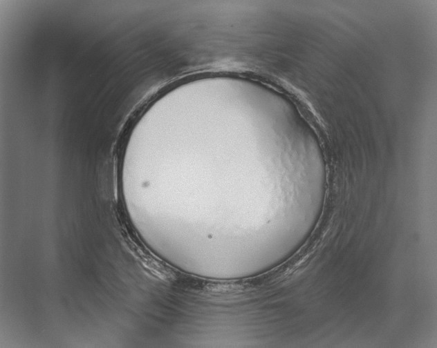 X0000073991171200609181735