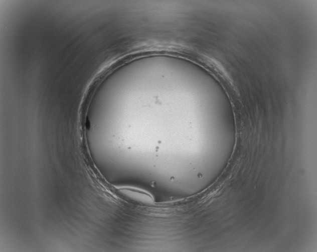 X0000073991172200609181735