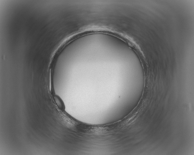 X0000073991175200609181735