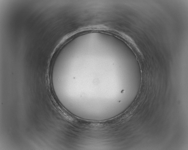 X0000073991176200609181734