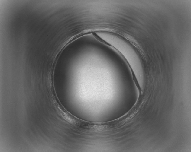 X0000073991177200609181734