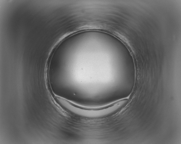 X0000073991179200609181734