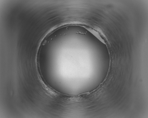 X0000073991181200609181734