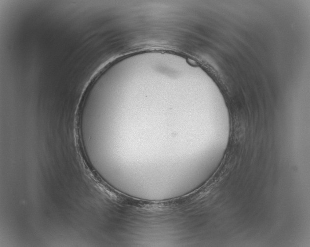 X0000073991182200609181734