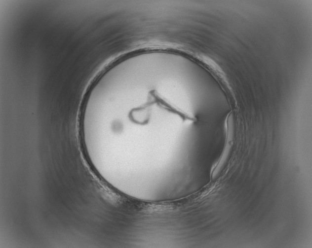 X0000073991183200609181734