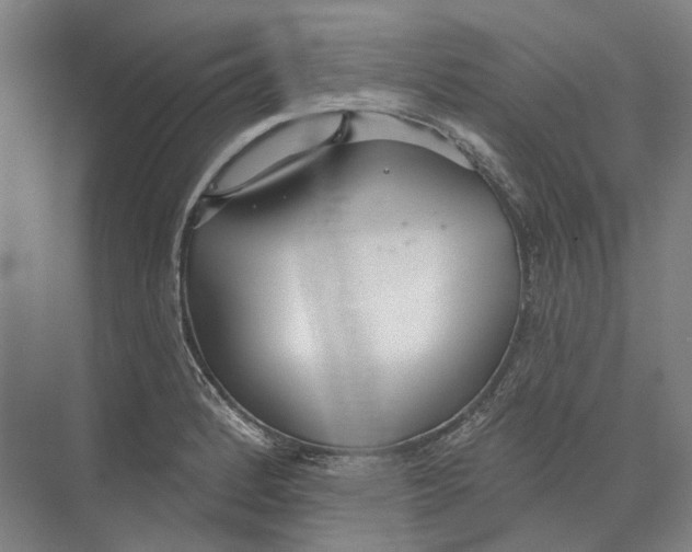 X0000073991184200609181734