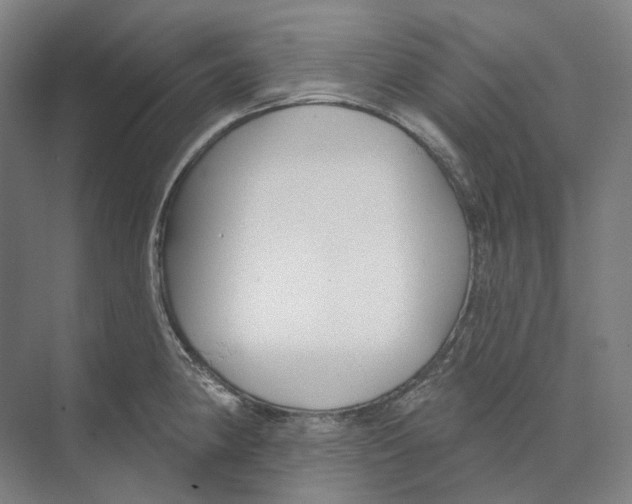 X0000073991190200609181734