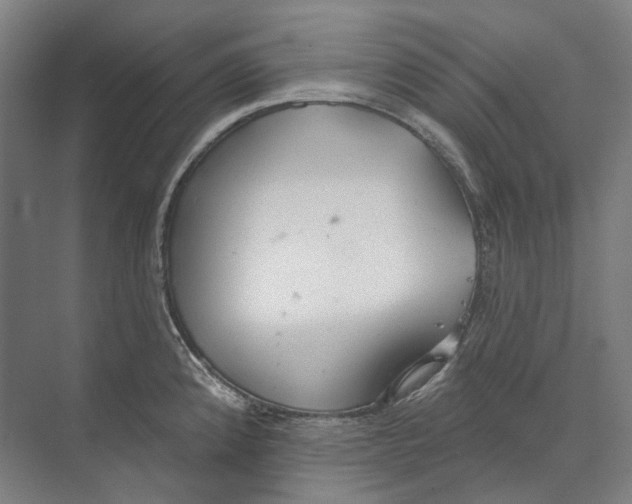 X0000073991192200609181734