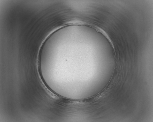 X0000073991195200609181734