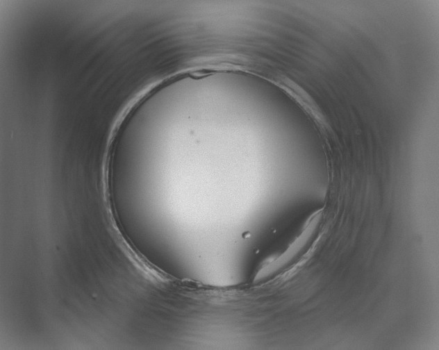 X0000073991196200609181734