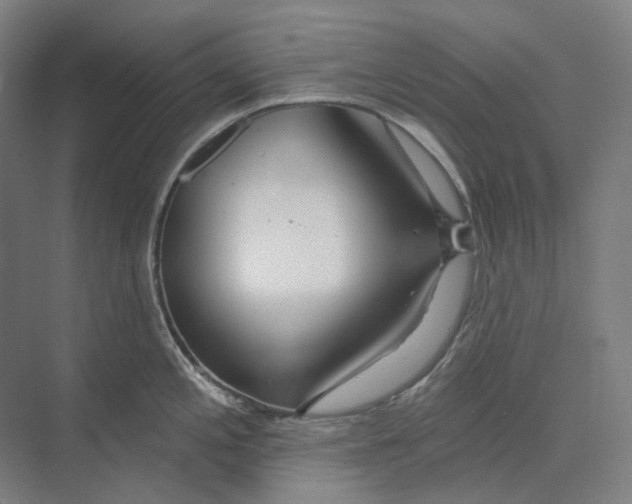 X0000073991197200609181734