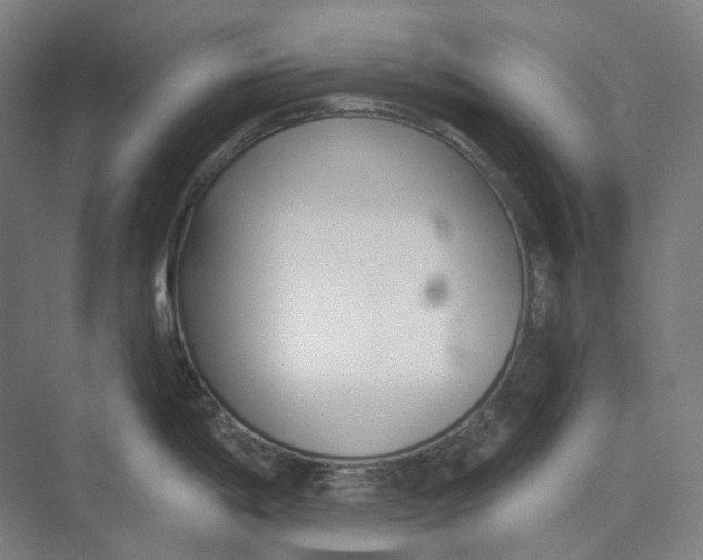 X0000073991198200609181734