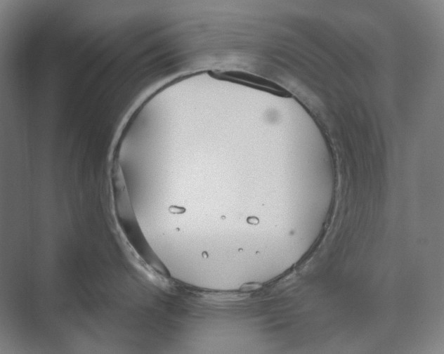 X0000073991200200609181734