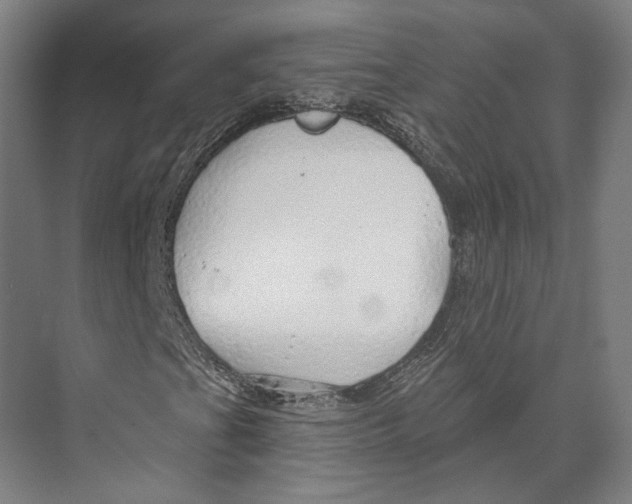 X0000073991201200609181733