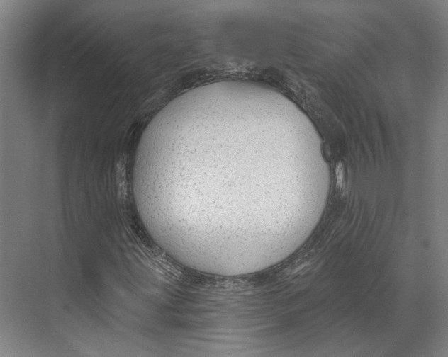 X0000073991203200609181733