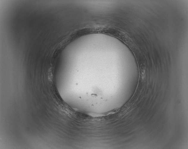 X0000073991204200609181733