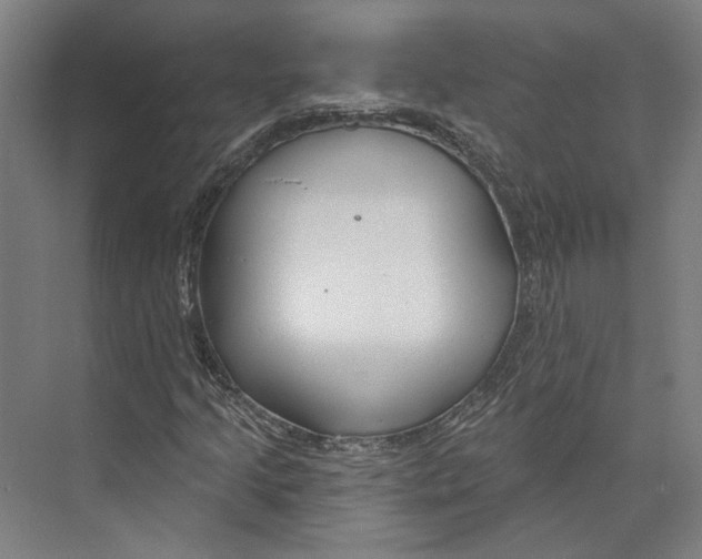 X0000073991205200609181733