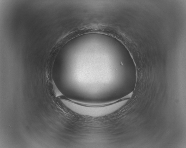 X0000073991206200609181733