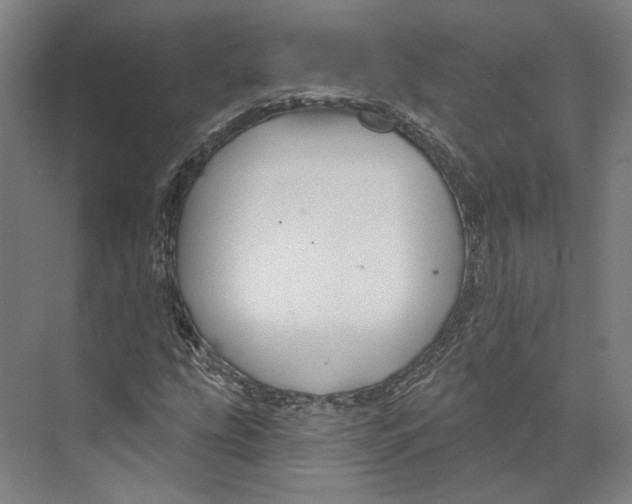 X0000073991207200609181733