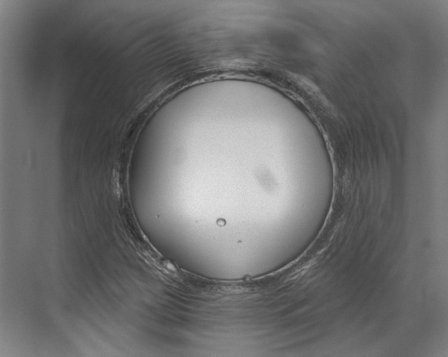 X0000073991209200609181733