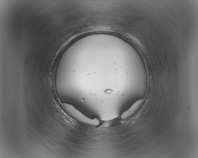 X0000073991212200609181733