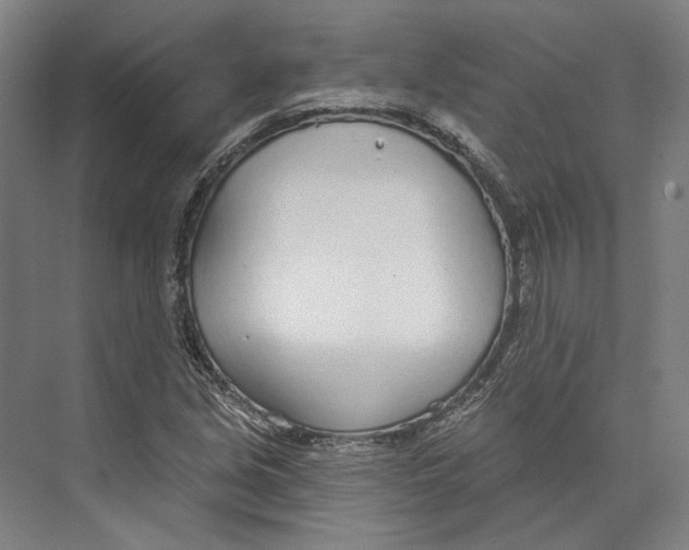 X0000073991213200609181733