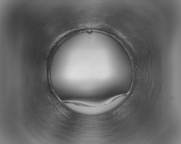 X0000073991214200609181734