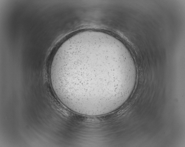 X0000073991215200609181734