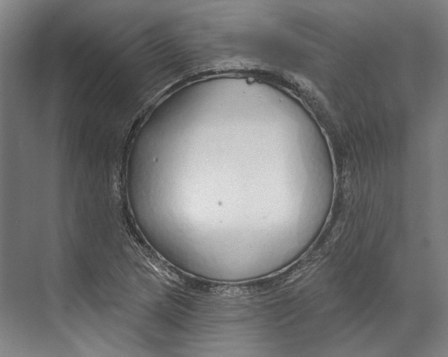 X0000073991217200609181734