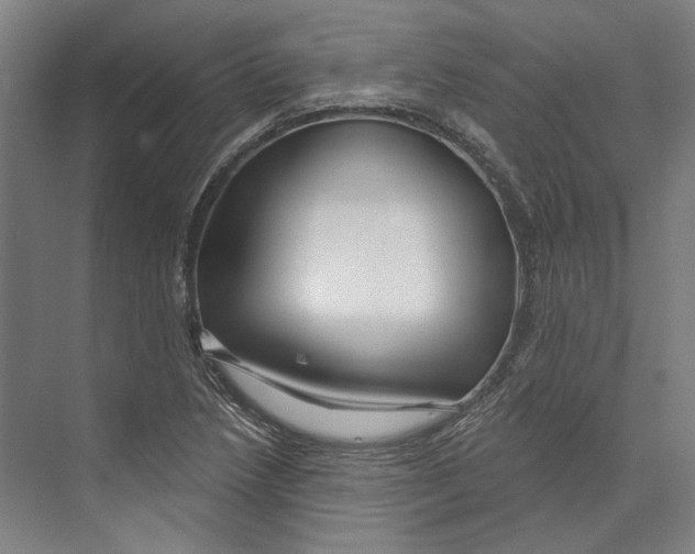 X0000073991218200609181734